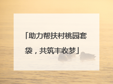 助力帮扶村桃园套袋，共筑丰收梦