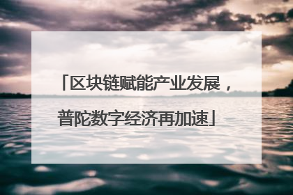 区块链赋能产业发展，普陀数字经济再加速