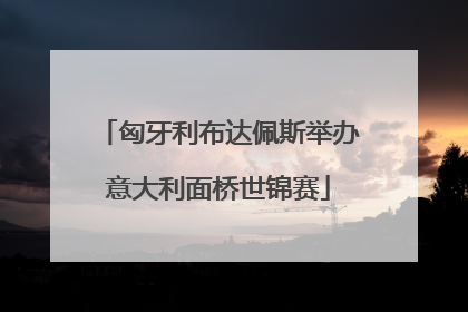 匈牙利布达佩斯举办意大利面桥世锦赛