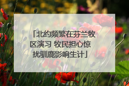 北约频繁在芬兰牧区演习 牧民担心惊扰驯鹿影响生计