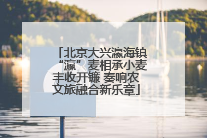 北京大兴瀛海镇“瀛”麦相承小麦丰收开镰 奏响农文旅融合新乐章