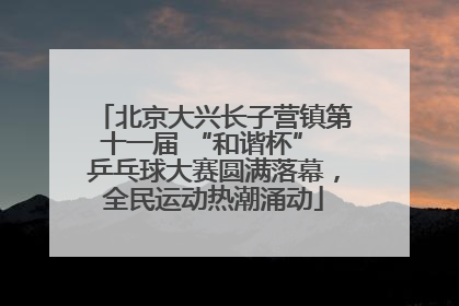 北京大兴长子营镇第十一届 “和谐杯” 乒乓球大赛圆满落幕，全民运动热潮涌动