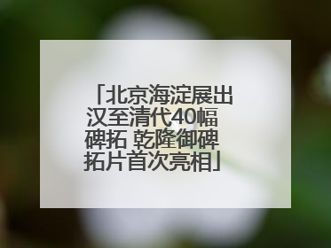 北京海淀展出汉至清代40幅碑拓 乾隆御碑拓片首次亮相