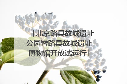 北京路县故城遗址公园暨路县故城遗址博物馆开放试运行