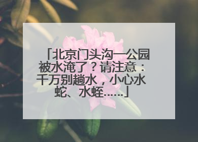 北京门头沟一公园被水淹了？请注意：千万别趟水，小心水蛇、水蛭……