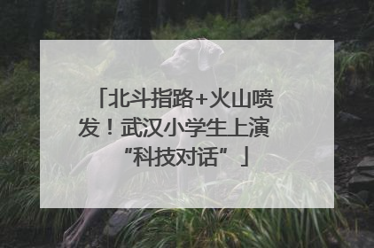 北斗指路+火山喷发！武汉小学生上演“科技对话”