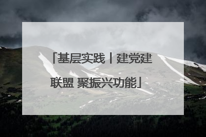 基层实践丨建党建联盟 聚振兴功能