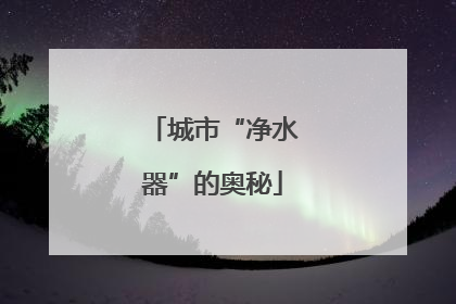 城市“净水器”的奥秘