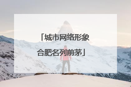 城市网络形象合肥名列前茅