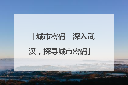 城市密码｜深入武汉，探寻城市密码