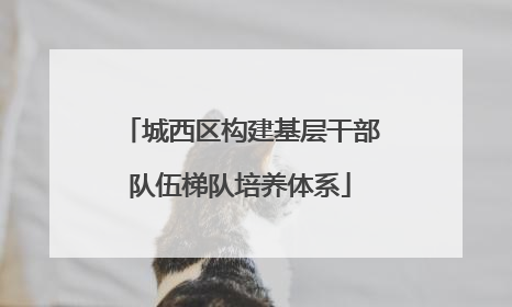 城西区构建基层干部队伍梯队培养体系