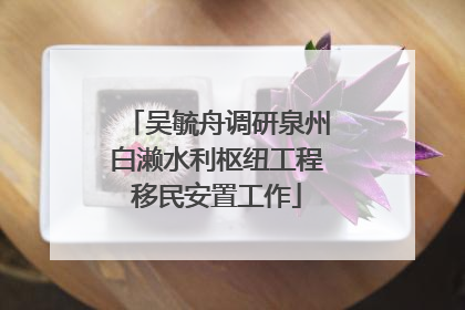 吴毓舟调研泉州白濑水利枢纽工程移民安置工作