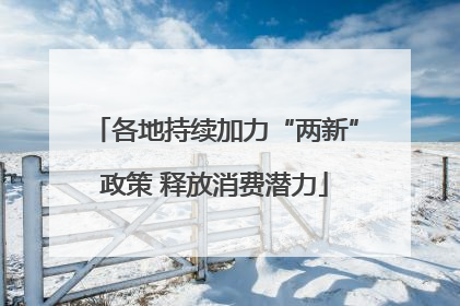 各地持续加力“两新”政策 释放消费潜力