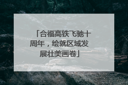 合福高铁飞驰十周年，绘就区域发展壮美画卷