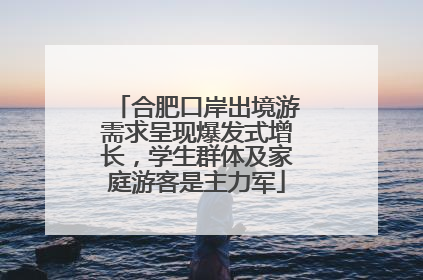 合肥口岸出境游需求呈现爆发式增长，学生群体及家庭游客是主力军