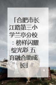 合肥市长江路第三小学兰亭分校：榜样闪耀绽光彩 五育融合助成长