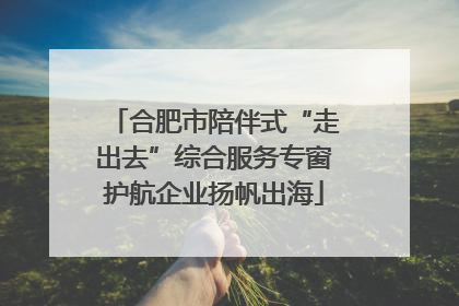 合肥市陪伴式“走出去”综合服务专窗护航企业扬帆出海