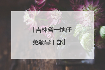 吉林省一地任免领导干部