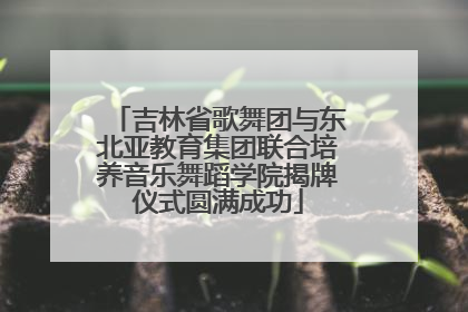 吉林省歌舞团与东北亚教育集团联合培养音乐舞蹈学院揭牌仪式圆满成功