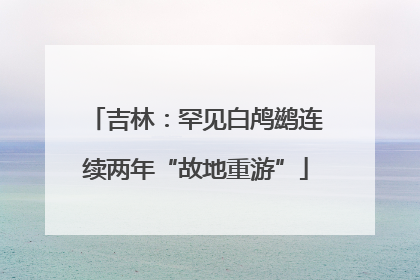 吉林：罕见白鸬鹚连续两年“故地重游”