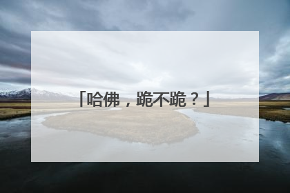 哈佛，跪不跪？
