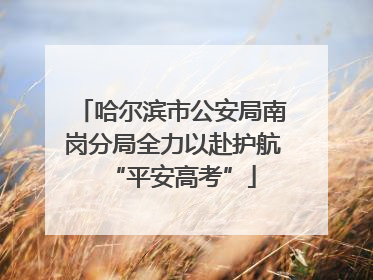 哈尔滨市公安局南岗分局全力以赴护航“平安高考”