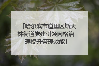 哈尔滨市道里区斯大林街道党建引领网格治理提升管理效能