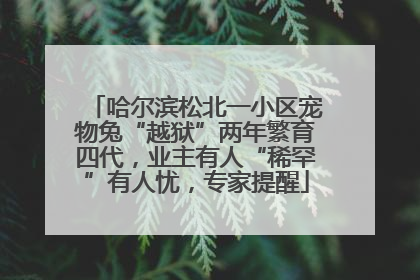 哈尔滨松北一小区宠物兔“越狱”两年繁育四代，业主有人“稀罕”有人忧，专家提醒