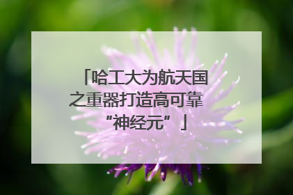 哈工大为航天国之重器打造高可靠“神经元”