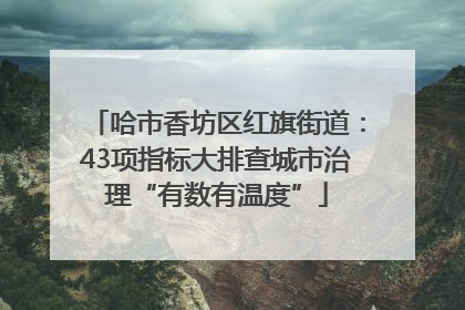 哈市香坊区红旗街道：43项指标大排查城市治理“有数有温度”