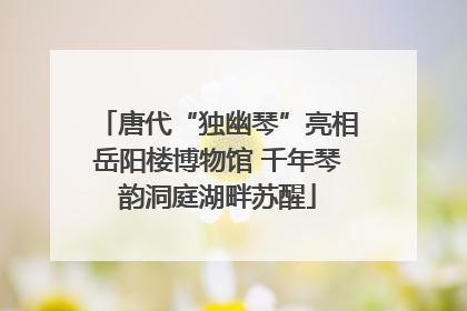 唐代“独幽琴”亮相岳阳楼博物馆 千年琴韵洞庭湖畔苏醒