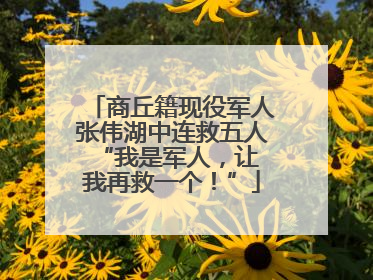 商丘籍现役军人张伟湖中连救五人 “我是军人，让我再救一个！”