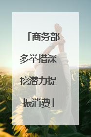 商务部多举措深挖潜力提振消费