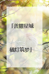 善耀星城 橘灯筑梦