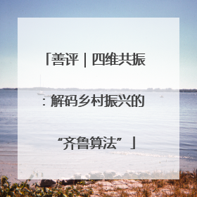 善评｜四维共振：解码乡村振兴的“齐鲁算法”