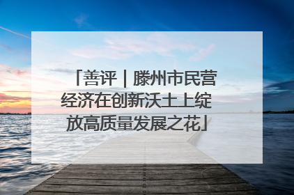 善评｜滕州市民营经济在创新沃土上绽放高质量发展之花