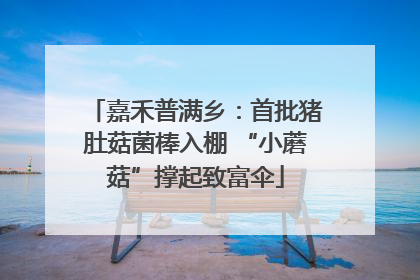 嘉禾普满乡：首批猪肚菇菌棒入棚 “小蘑菇”撑起致富伞