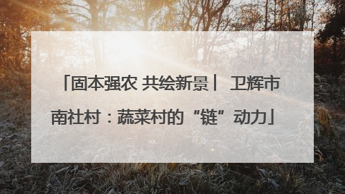 固本强农 共绘新景 ︳卫辉市南社村：蔬菜村的“链”动力