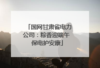 国网甘肃省电力公司：粽香迎端午 保电护安康