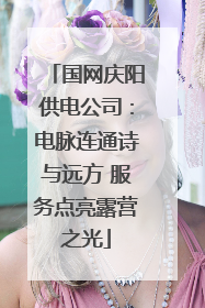 国网庆阳供电公司：电脉连通诗与远方 服务点亮露营之光