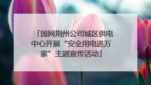 国网荆州公司城区供电中心开展“安全用电进万家”主题宣传活动