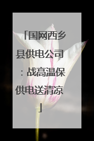 国网西乡县供电公司：战高温保供电送清凉
