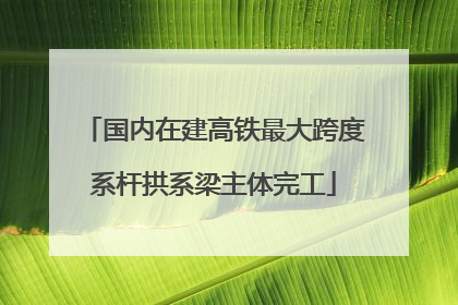 国内在建高铁最大跨度系杆拱系梁主体完工