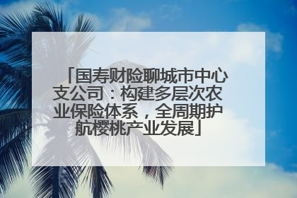 国寿财险聊城市中心支公司：构建多层次农业保险体系，全周期护航樱桃产业发展