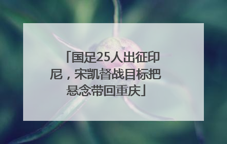 国足25人出征印尼，宋凯督战目标把悬念带回重庆