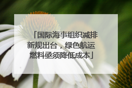 国际海事组织减排新规出台，绿色航运燃料亟须降低成本