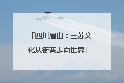 四川眉山：三苏文化从街巷走向世界