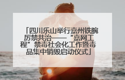四川乐山举行嘉州铁腕 厉禁共治——“嘉网工程”禁毒社会化工作暨毒品集中销毁启动仪式