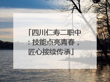 四川仁寿二职中：技能点亮青春，匠心接续传承