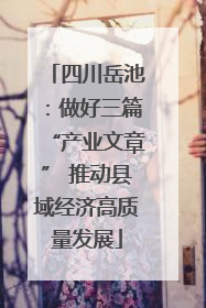 四川岳池：做好三篇“产业文章” 推动县域经济高质量发展
